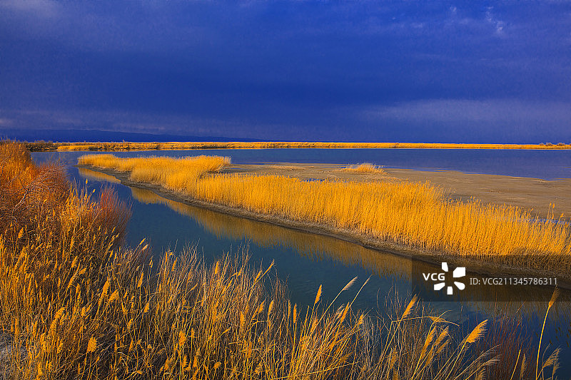艾比湖的金秋图片素材