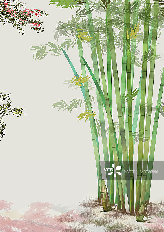 竹林图片素材