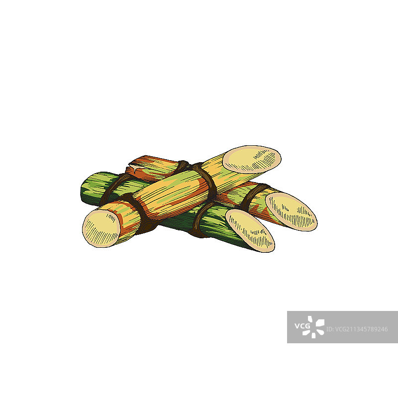 手持甘蔗图片素材