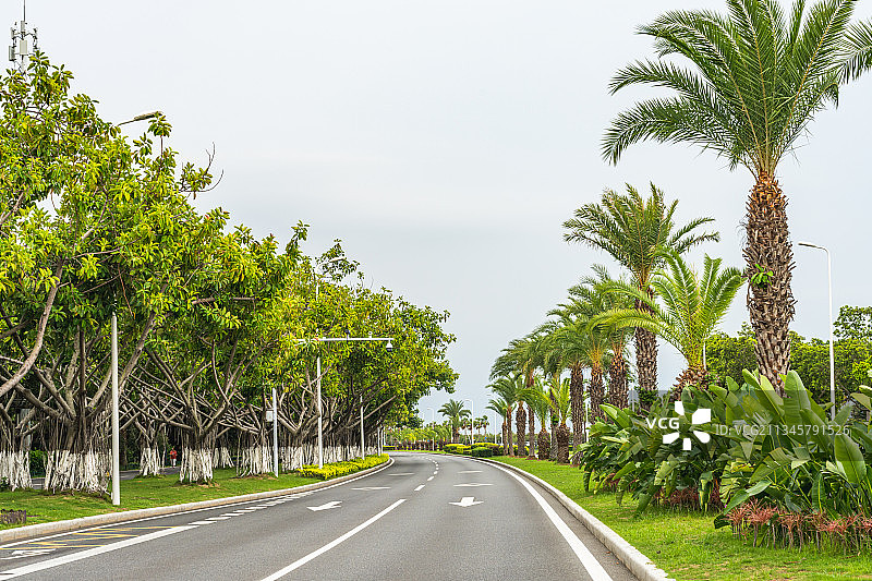 厦门环岛路观光大道环岛东路观光旅游大道图片素材