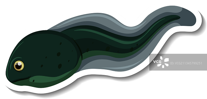 带蝌蚪的贴纸模板图片素材