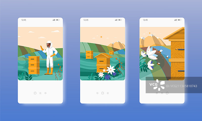 养蜂场：健康的有机蜂蜜图片素材