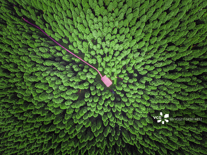 曲径通幽图片素材