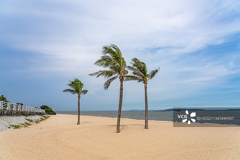 厦门环岛东路黄厝海滩图片素材