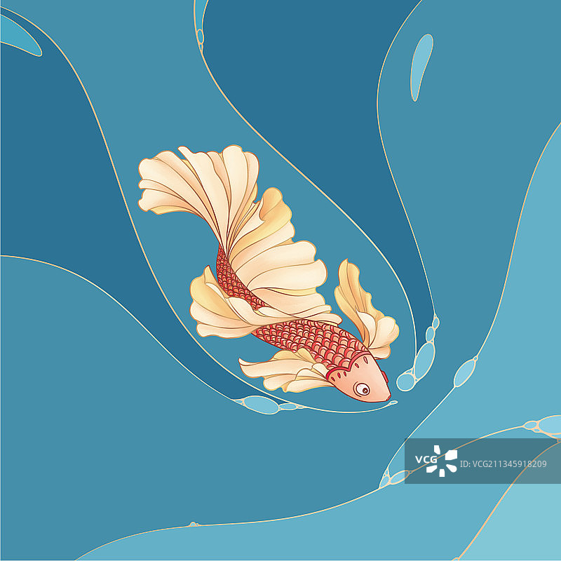 鲤鱼插画图片素材