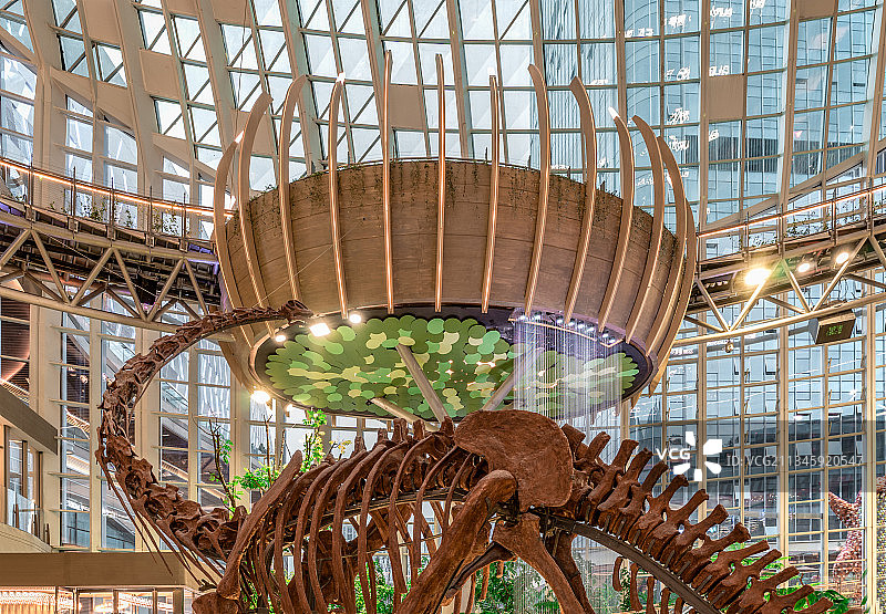 都市热带植物园图片素材