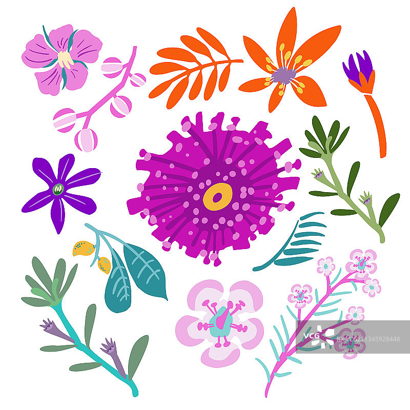 梦幻异域花卉植物元素图片素材