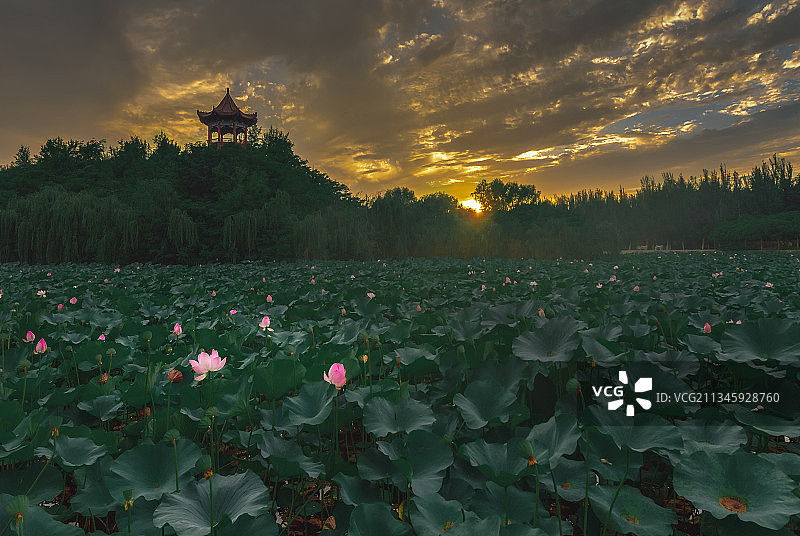 沈阳华圣寺图片素材