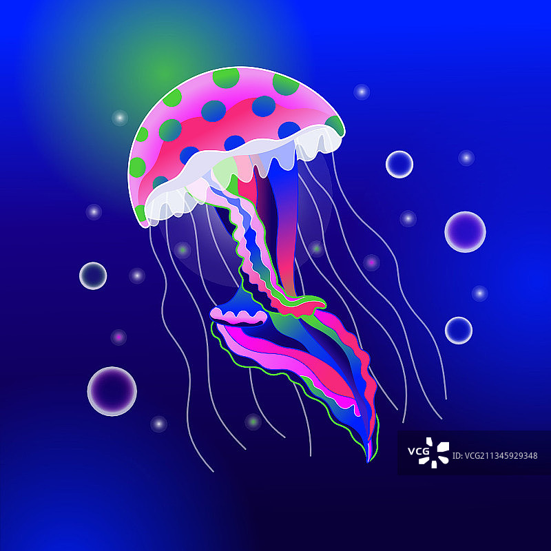 扁平风水母图片素材
