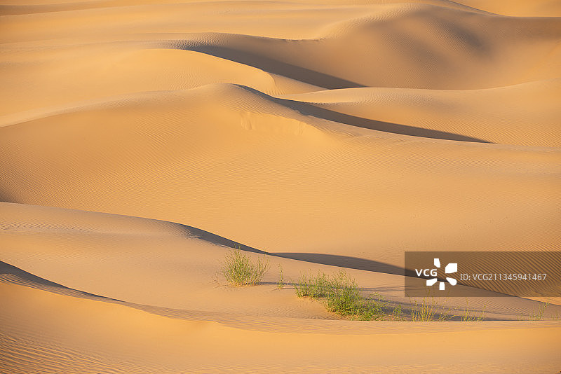 沙漠风景，地貌图片素材