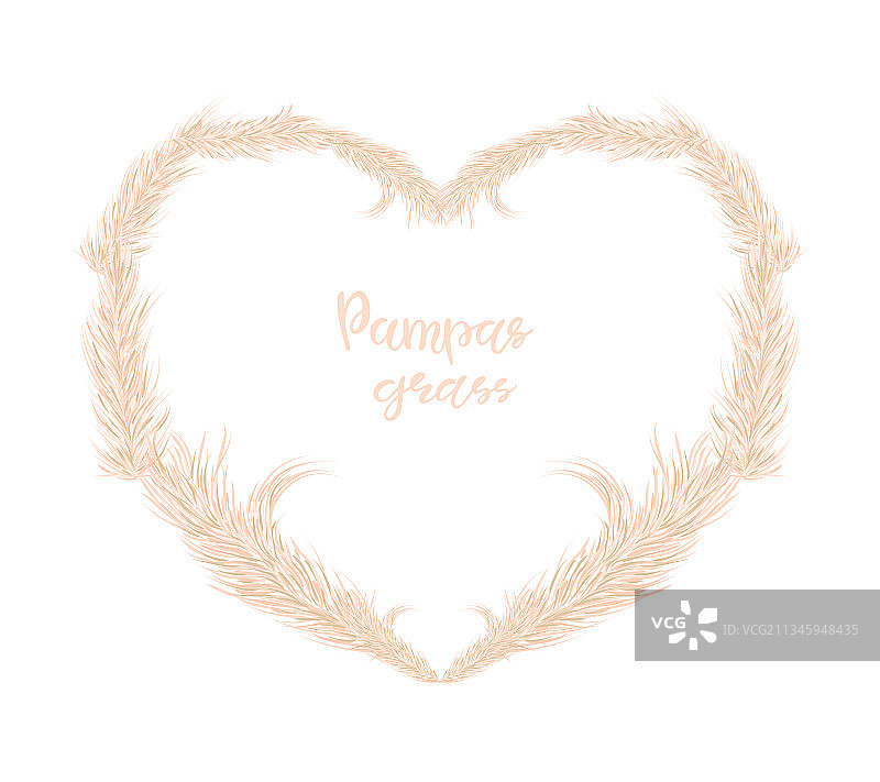 形成心形的干燥蒲苇图片素材