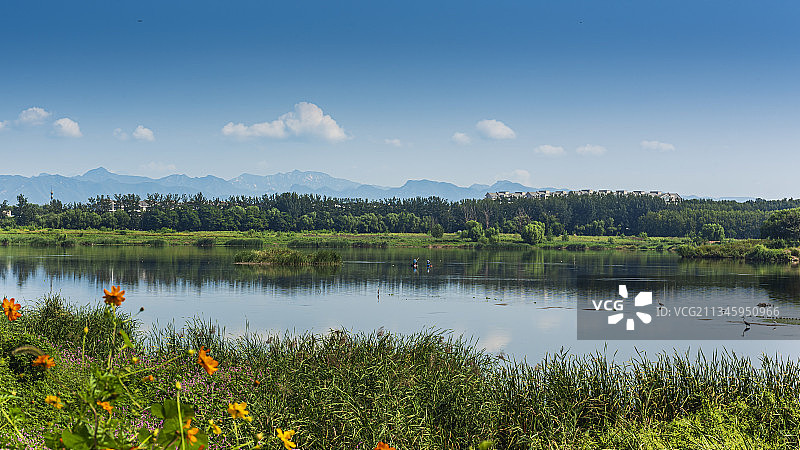 湖光山色鸟语花香图片素材