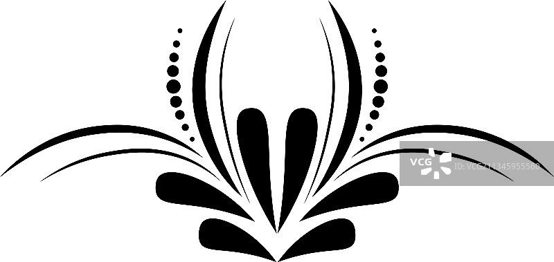 花卉装饰边框和装饰线条图片素材