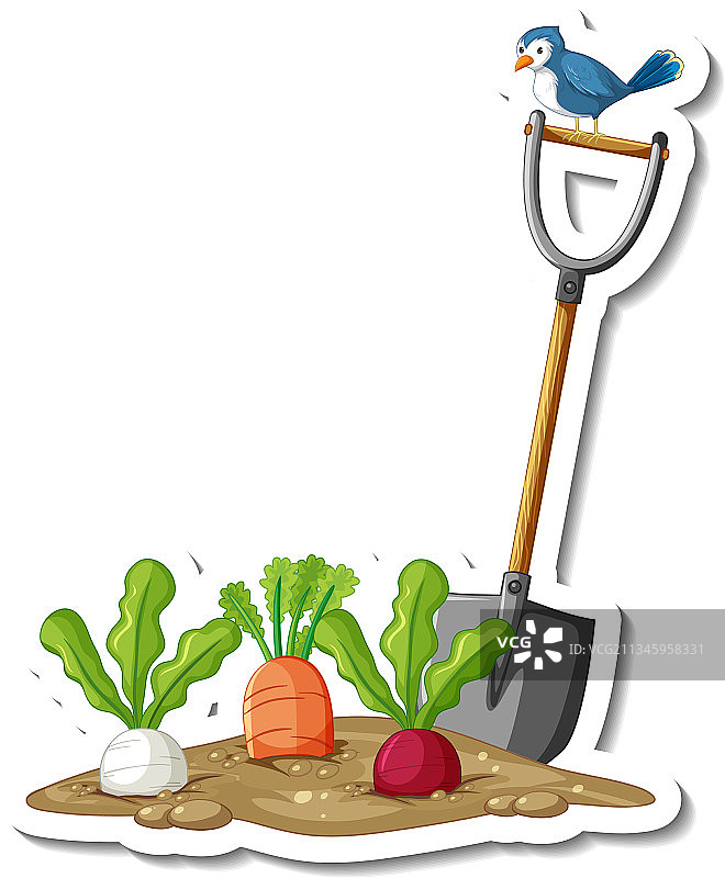 带根类蔬菜和铲子的贴纸模板图片素材