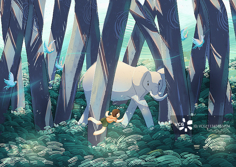 一路向北图片素材