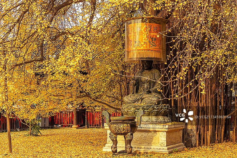 西安古观音禅寺秋景图片素材