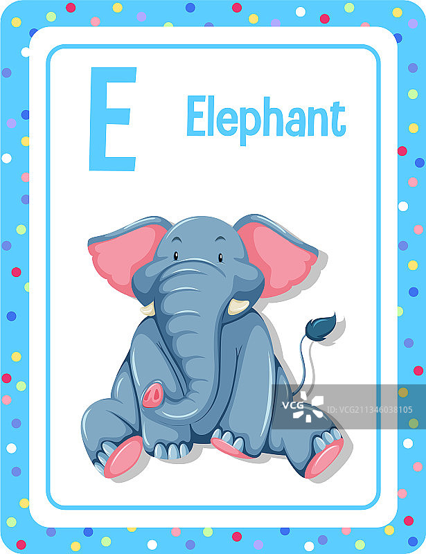 字母E大象闪卡图片素材