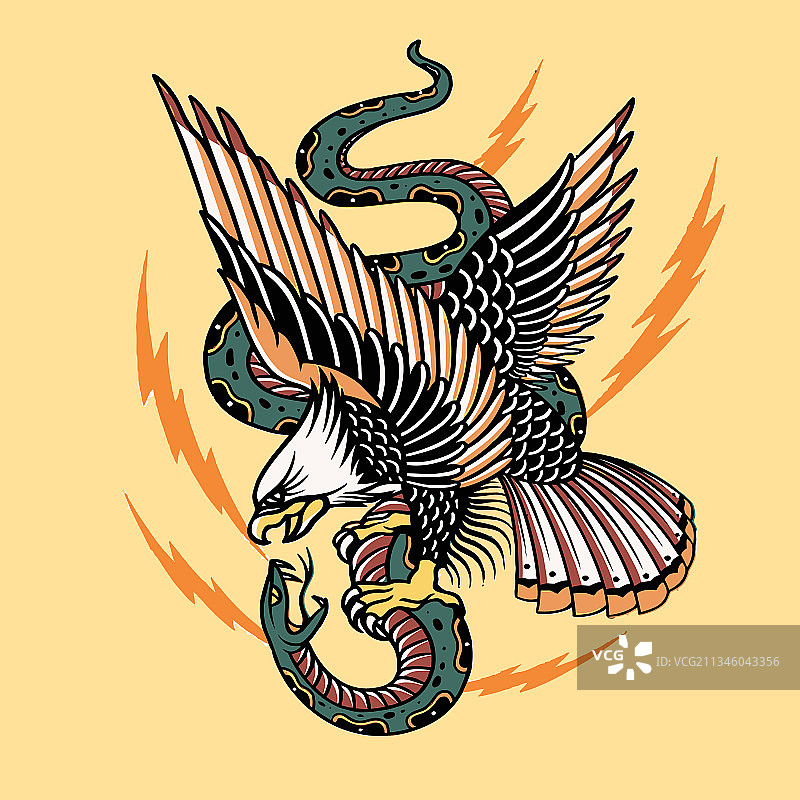 老鹰与蛇搏斗设计作品图片素材