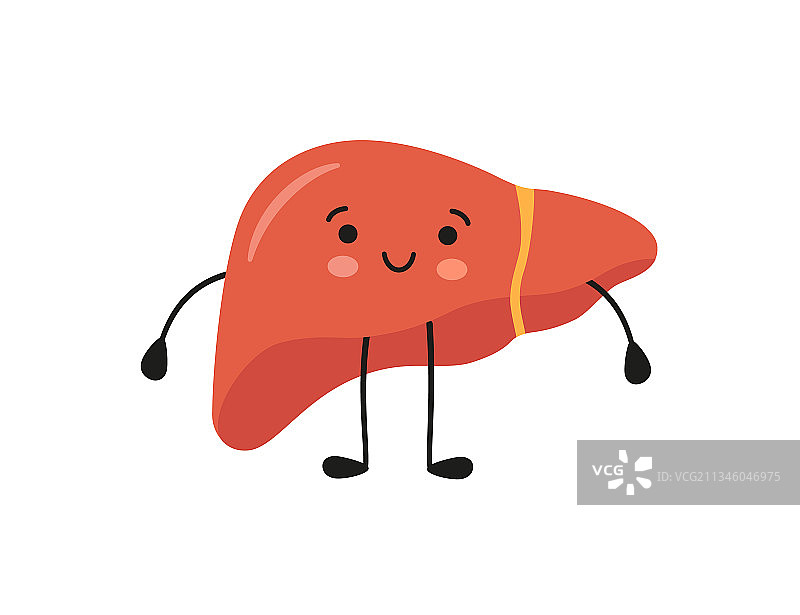 健康快乐的可爱肝脏卡通形象图片素材