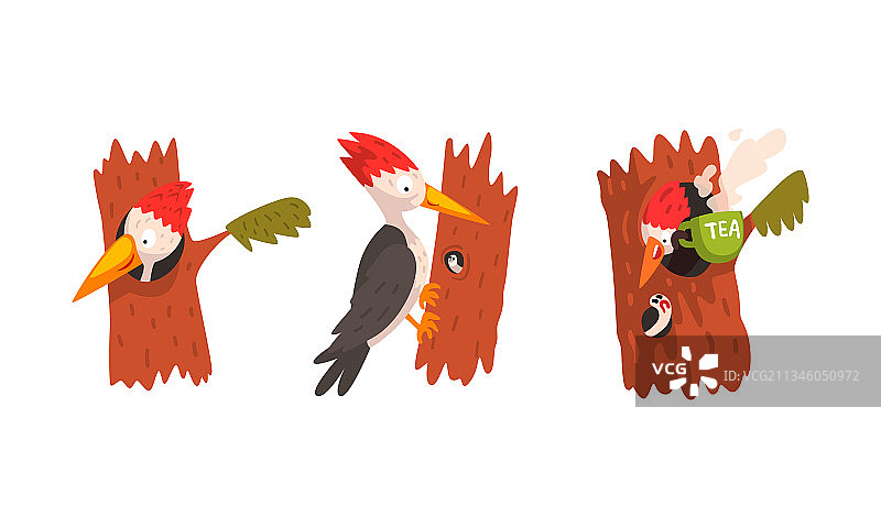 可爱啄木鸟坐树干插画图片素材