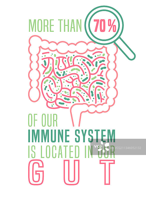 包含肠道相关信息的医疗海报图片素材