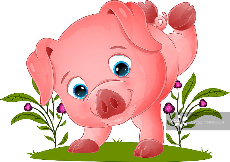 可爱小猪在花园里倒立图片素材