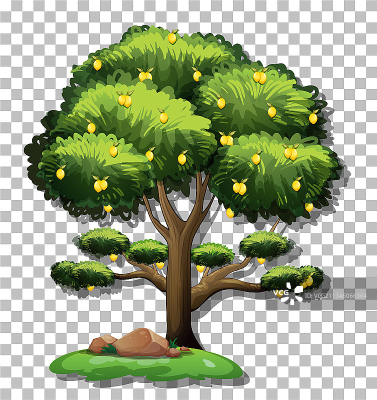 透明背景上的柠檬树图片素材