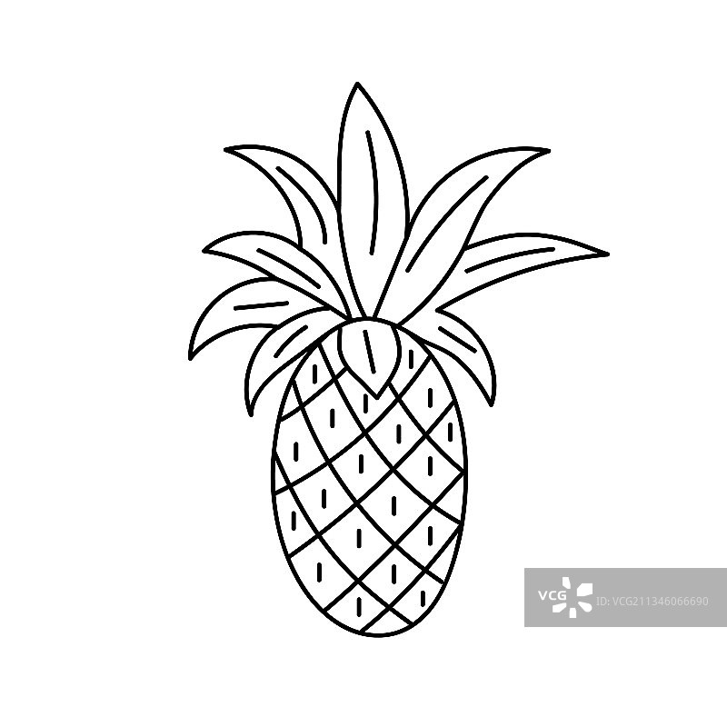 热带水果菠萝图片素材