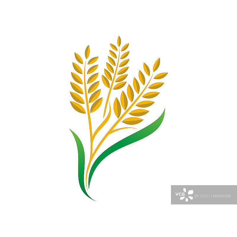 农业小麦水稻图标设计图片素材