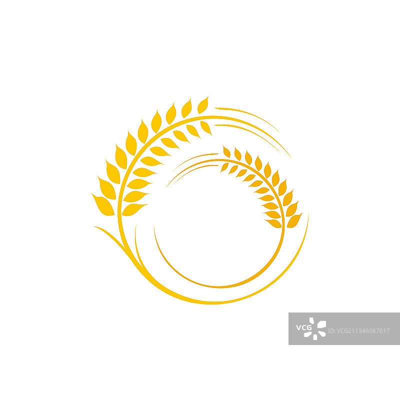 农业小麦水稻图标设计图片素材