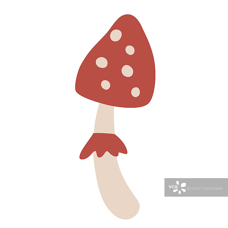 红色毒蝇伞蘑菇图片素材