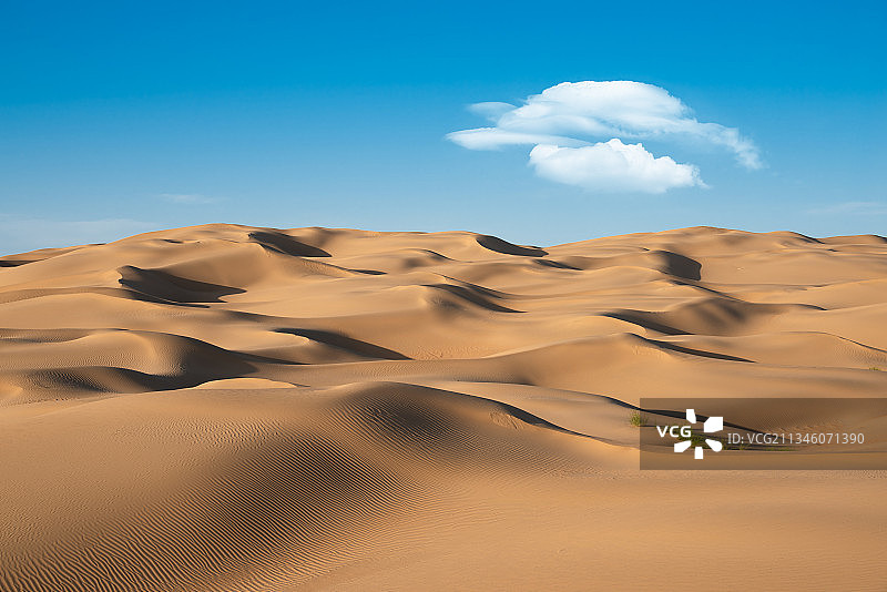 内蒙古库布齐沙漠风光图片素材