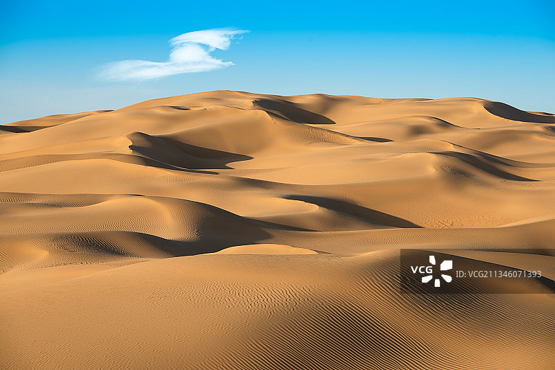 内蒙古库布齐沙漠风光图片素材