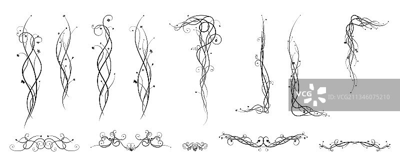 葡萄藤蔓装饰元素草图图片素材