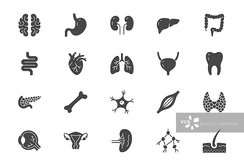 器官线性图标图片素材