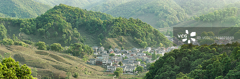 杭州 西湖 龙井茶 茶园 梅家坞图片素材