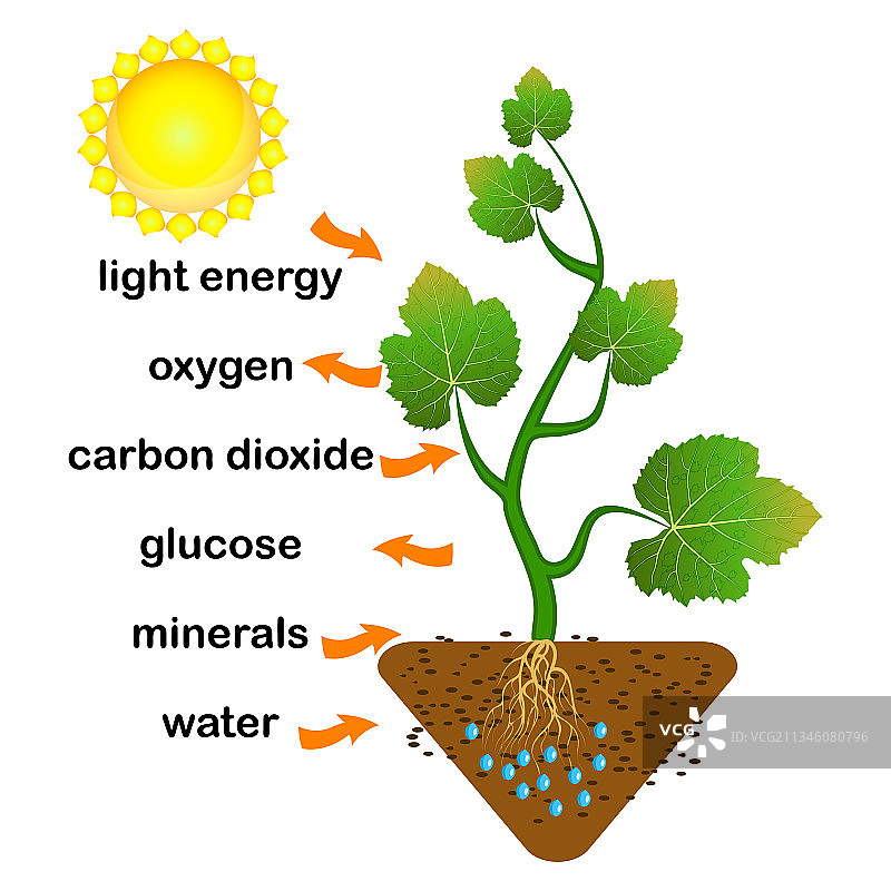 制氧工厂图片素材