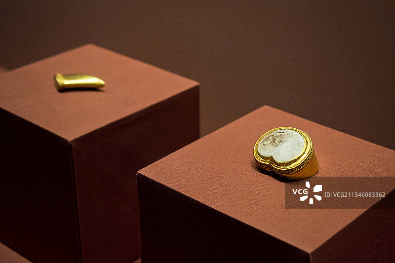 马蹄金 麟趾金图片素材