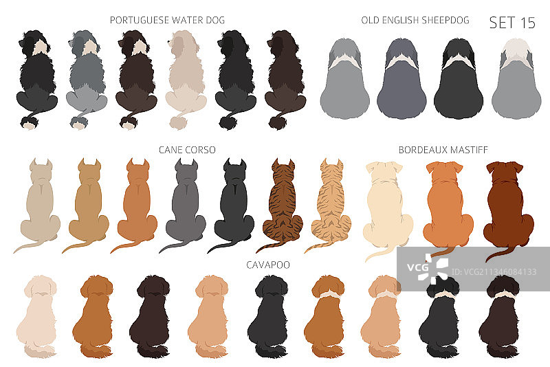 坐着的狗背部剪贴画后视图图片素材