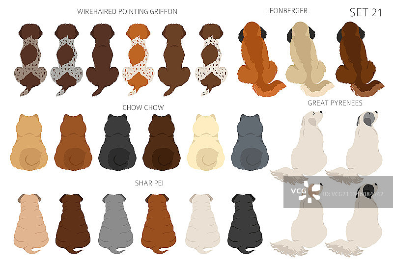 坐着的狗背部剪贴画后视图图片素材