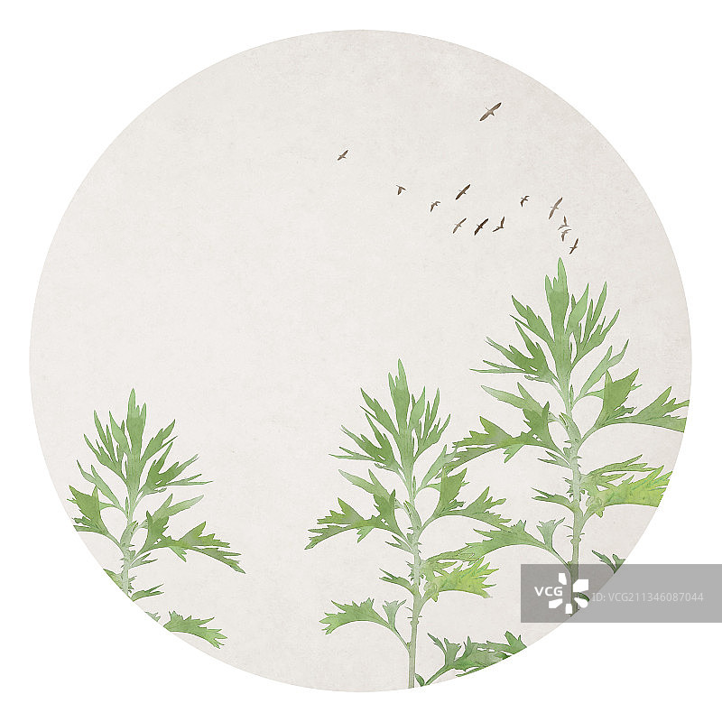 艾草圆形中国风插画图片素材