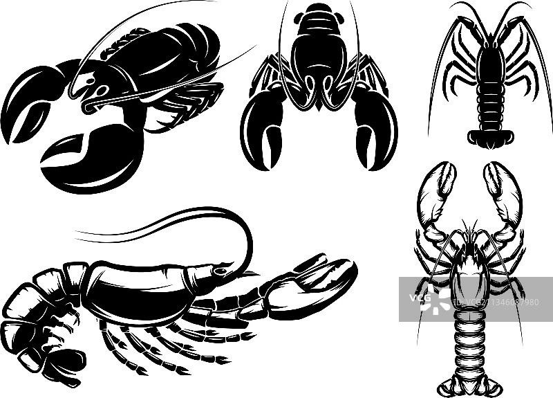 单色风格龙虾和小龙虾图案图片素材