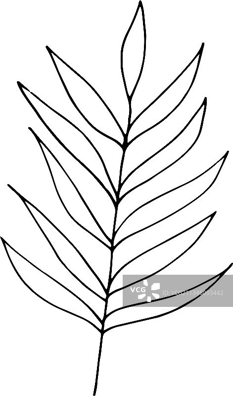 抽象树叶手绘图标图片素材