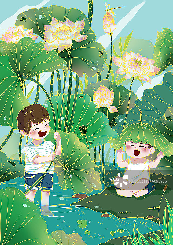 夏天荷叶图片素材