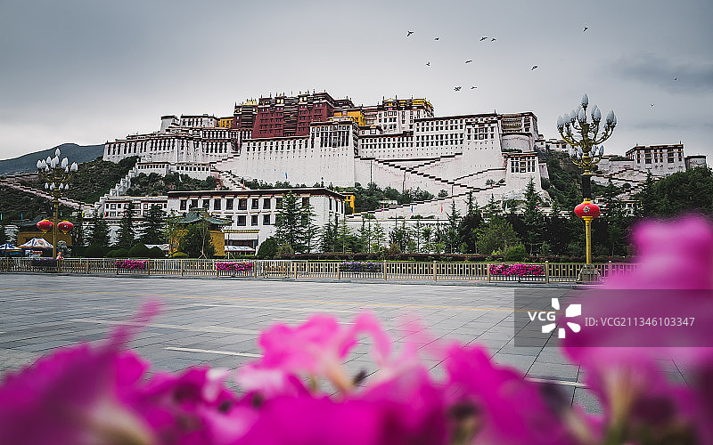 拉萨布达拉宫图片素材