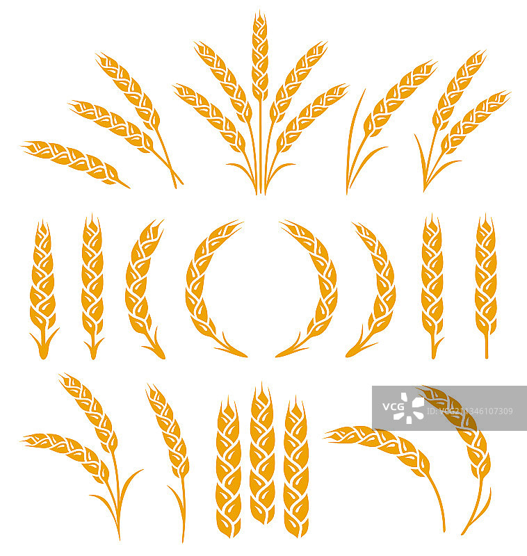 麦穗设计元素图片素材