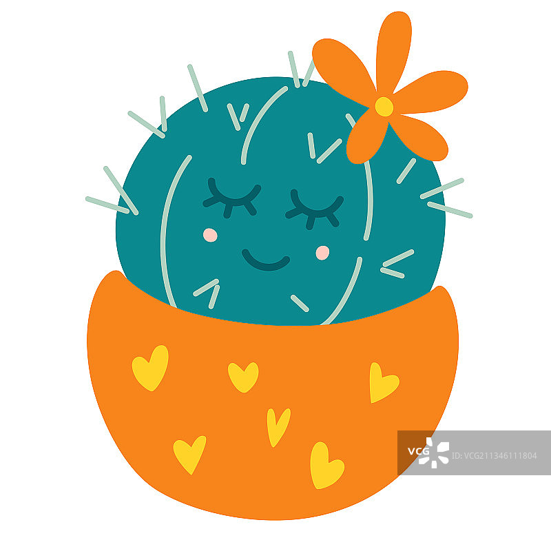 盆栽仙人掌，带刺的家图片素材