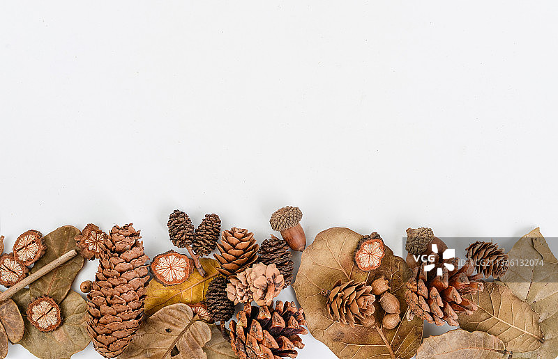 森系树叶树枝松果复古背景图片素材
