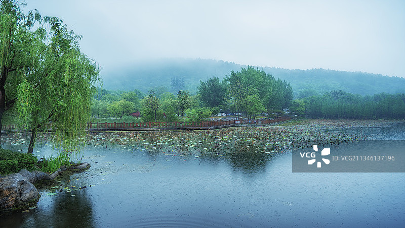 祥静的烟雨+江苏省徐州市泉山区云龙湖风景名胜区金山公园，云龙图片素材