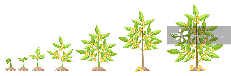 摇钱树资本收益增长概念图片素材